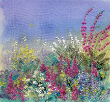 Herbaceous Border 2