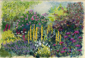 Herbaceous  Border