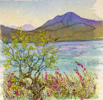 Little Loch Broom