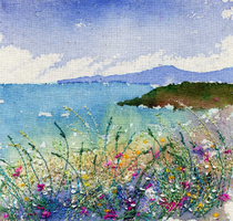 Machair Achmelvich
