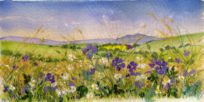Meadow Elsdon