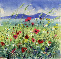 Northern meadow  2