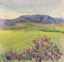 Summer Flowers Simonside