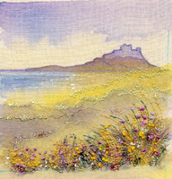 Summer flowers Bamburgh
