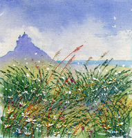 Summer flowers Lindisfarne