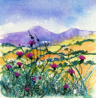 Thistles Cheviot