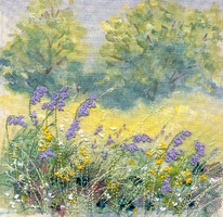 bluebells and cowslips