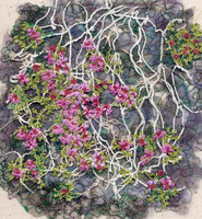 Thyme 2